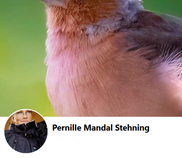 20220922 Pernille Mandal Stehning